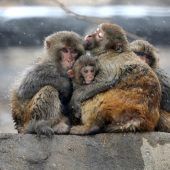 Wirksame Kombination: Zärtlichkeit und Oxytocin