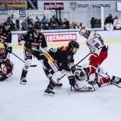 Den Meister zum Stefanitag