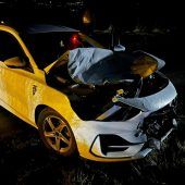 Wieder Kollision mit einem Hirsch in Liechtenstein