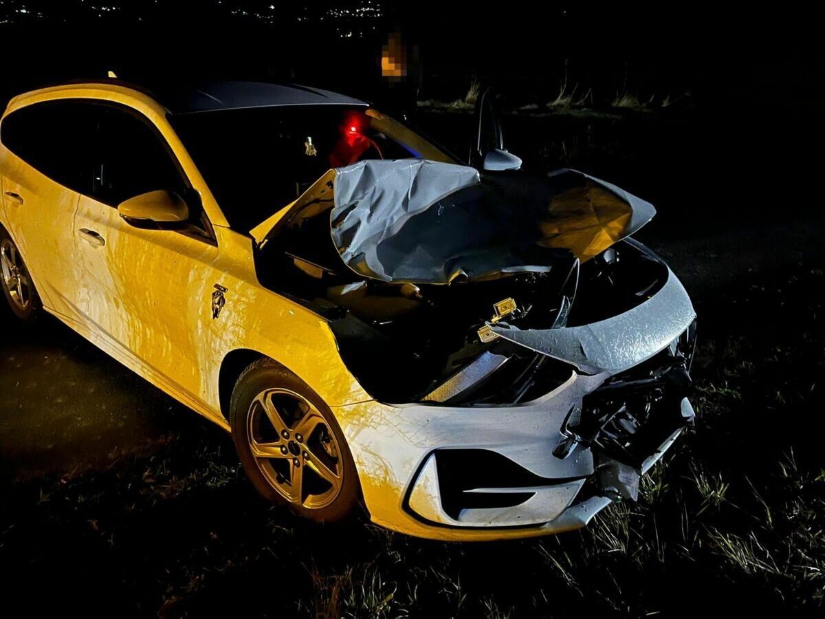 Zum zweiten Mal innerhalb von zwei Wochen ist es in Liechtenstein zum Zusammenstoß zwischen einem Pkw und Hirsch gekommen.⇒polizei
