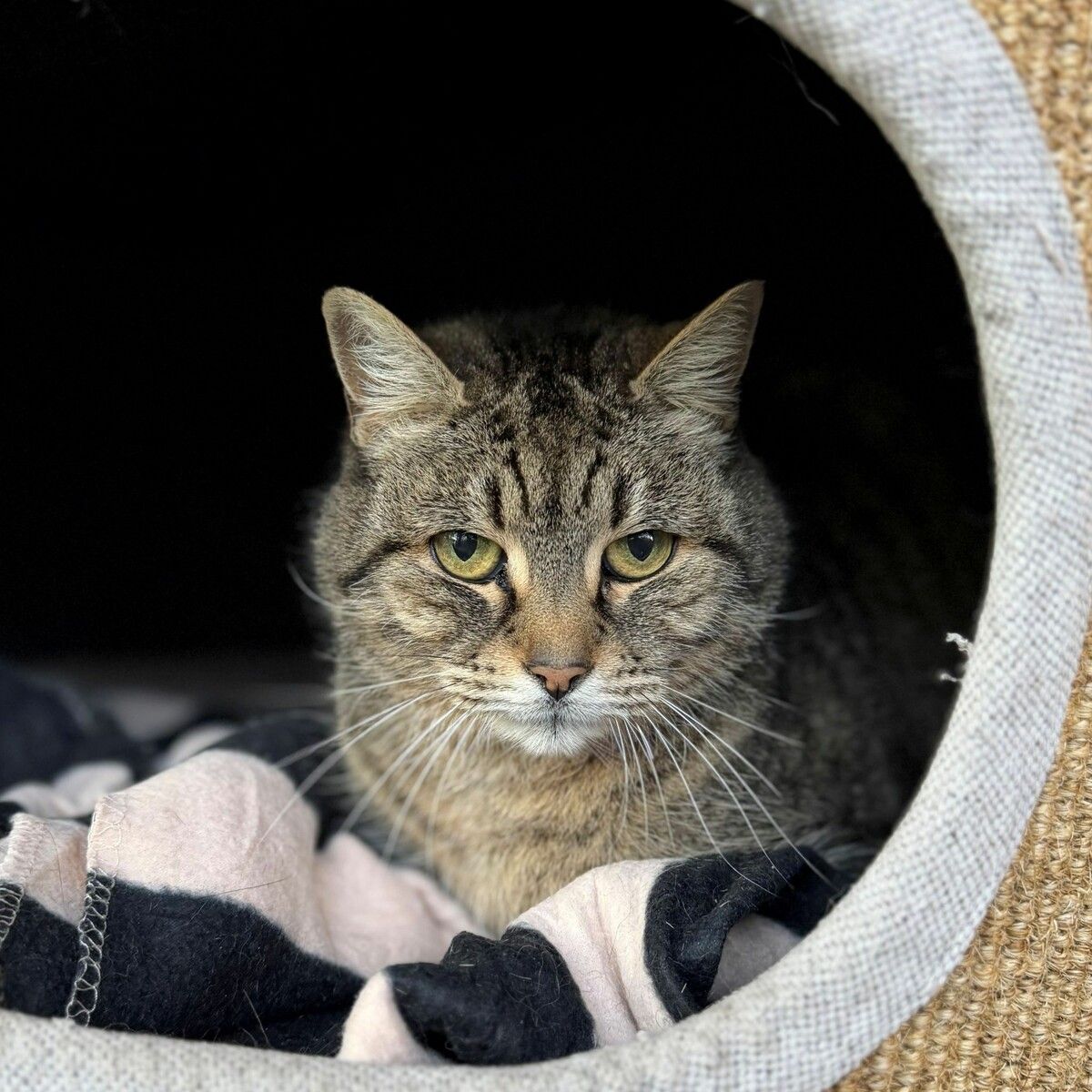 Auch Margret braucht ein bisschen Zeit, um sich einzugewöhnen.