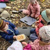 Scheibchenweise Kürzung