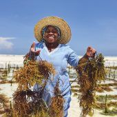 Leben im Gezeitenrhythmus