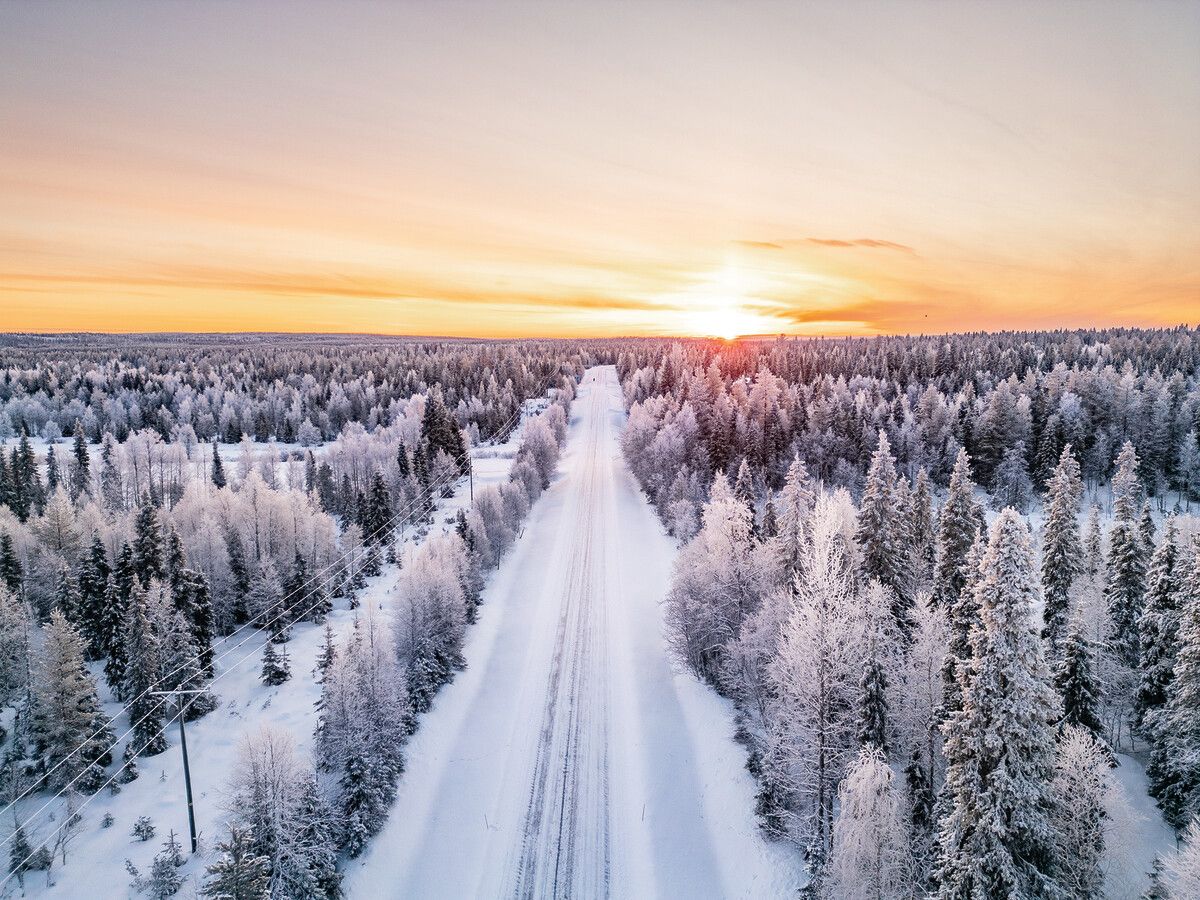 Dämmerung: Pastellfarben über den verschneiten Wäldern rund um Ruka.⇒Beate Rhomberg