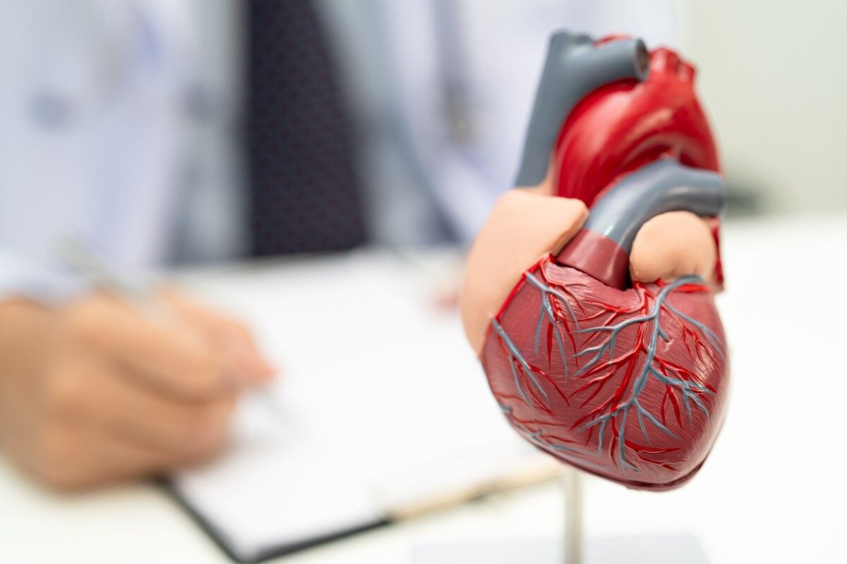 Das Herz schlägt jeden Tag rund 100.000-mal und pumpt bis zu 8000 Liter Blut durch unseren Körper. ⇒Shutterstock