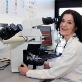 Grippewelle belastet Spitäler