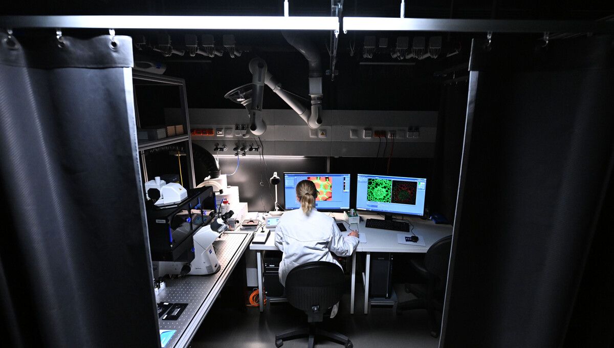 Das ISTA in Klosterneuburg darf sich über eine kräftige Finanzspritze von fünf Millionen Euro freuen. ⇒APA