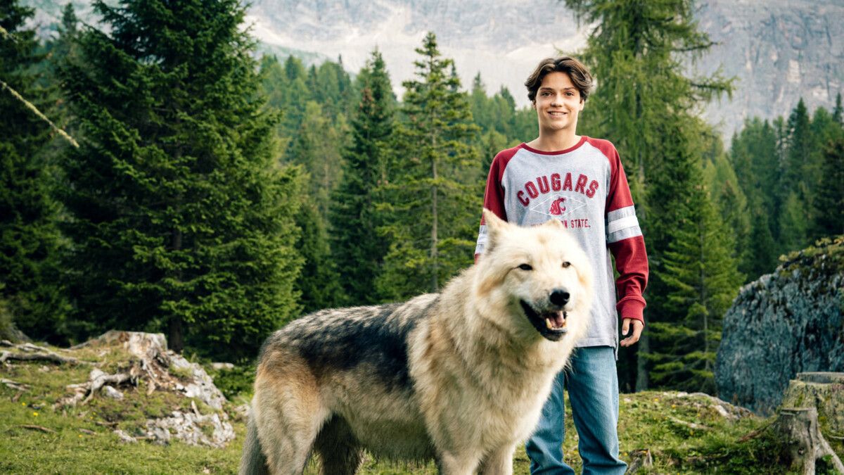 Der Film ist etwas düsterer und konfliktreicher als sein Vorgänger.⇒Filmcoopi