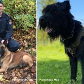 Diensthunde Oskar und Max klärten Tankstelleneinbruch in Minuten auf