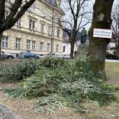 Wie lange bleibt der Christbaum stehen?
