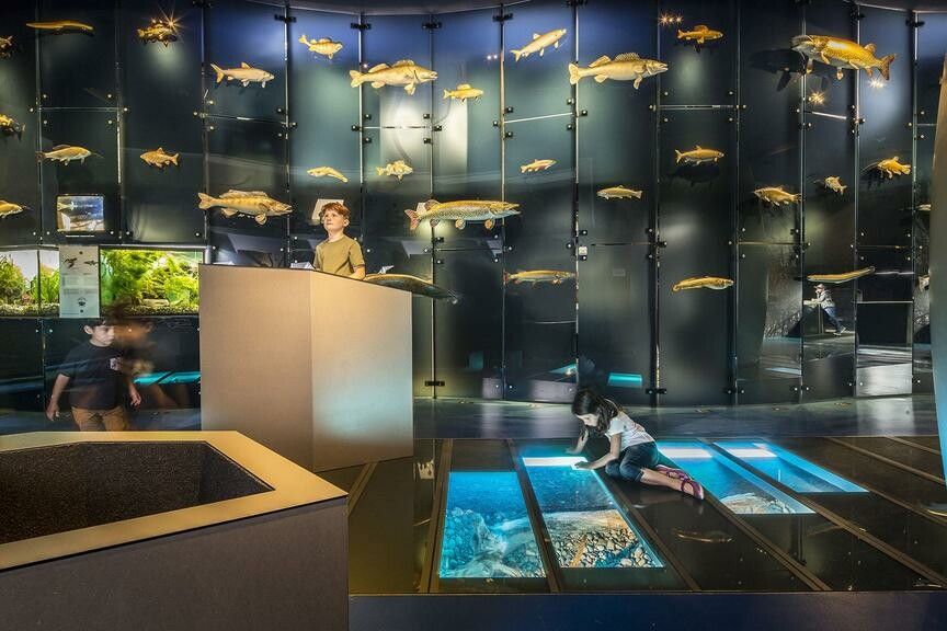 Die inatura in Dornbirn zählte 2024 rund 130.000 Besucher.⇒K.Hausberger