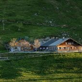 Lustenauer Alpen neu verpachtet