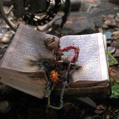 Proteste im Iran fordern 5000 Tote