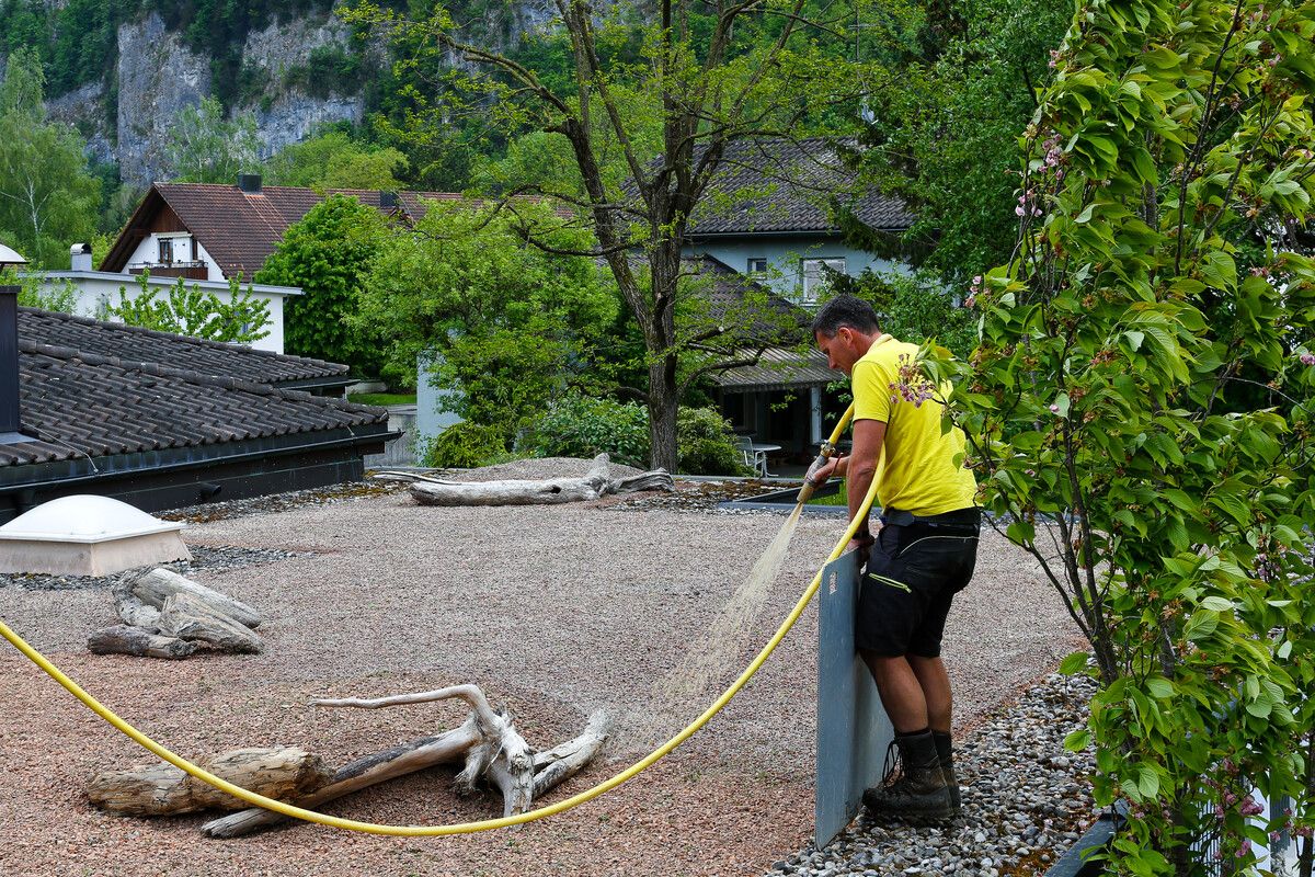 Die Stadt unterstützt Dach- und Fassadenbegrünungen. ⇒Stadt/Walser