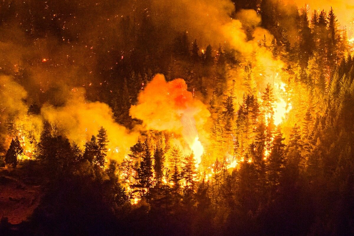 Ein Waldbrand wütet in El Hoyo in der Provinz Chubut im Süden Argentiniens. Tausende Hektar Wald wurden bereits zerstört.