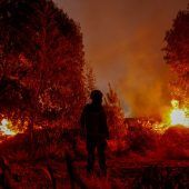 21 Tote bei Waldbränden in Chile – vierte Festnahme
