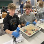 Wälder Gymnasium stellt sich vor