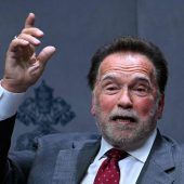 Arnie lädt zur Auktion