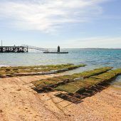 Muscheln, Austern und harte Arbeit