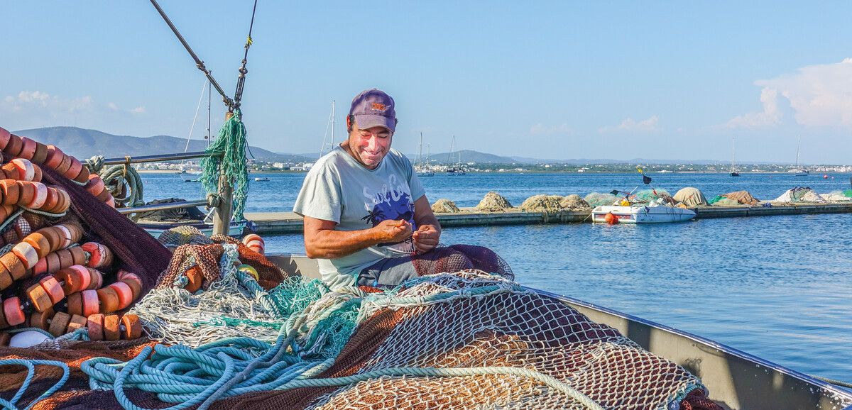 Gestrandet auf den vergessenen Inseln