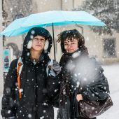 Gut beschirmt durch den Winter