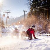 Start in die Rodelsaison