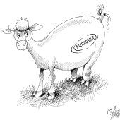 Erste Fleischimporte!