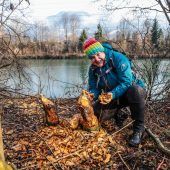 Störenfried oder Künstler? Neue Biberspuren am Alten Rhein spalten Gemüter. »A5