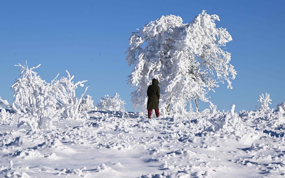 Frost und Schnee verwandelten den Schwarzwald in eine märchenhafte Winterlandschaft.
