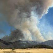 Australien kämpft gegen Buschbrände