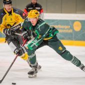 Löwen zähmen die Drachen