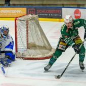 Wälder zeigen einmal mehr Moral