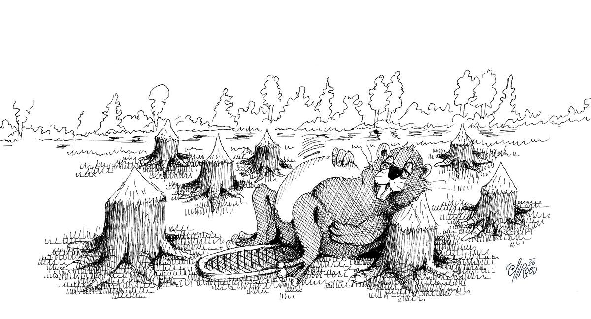 Oberförster Biber in der Mittagspause!