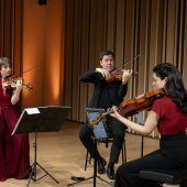 Gegensätze mit gemeinsamer Linie