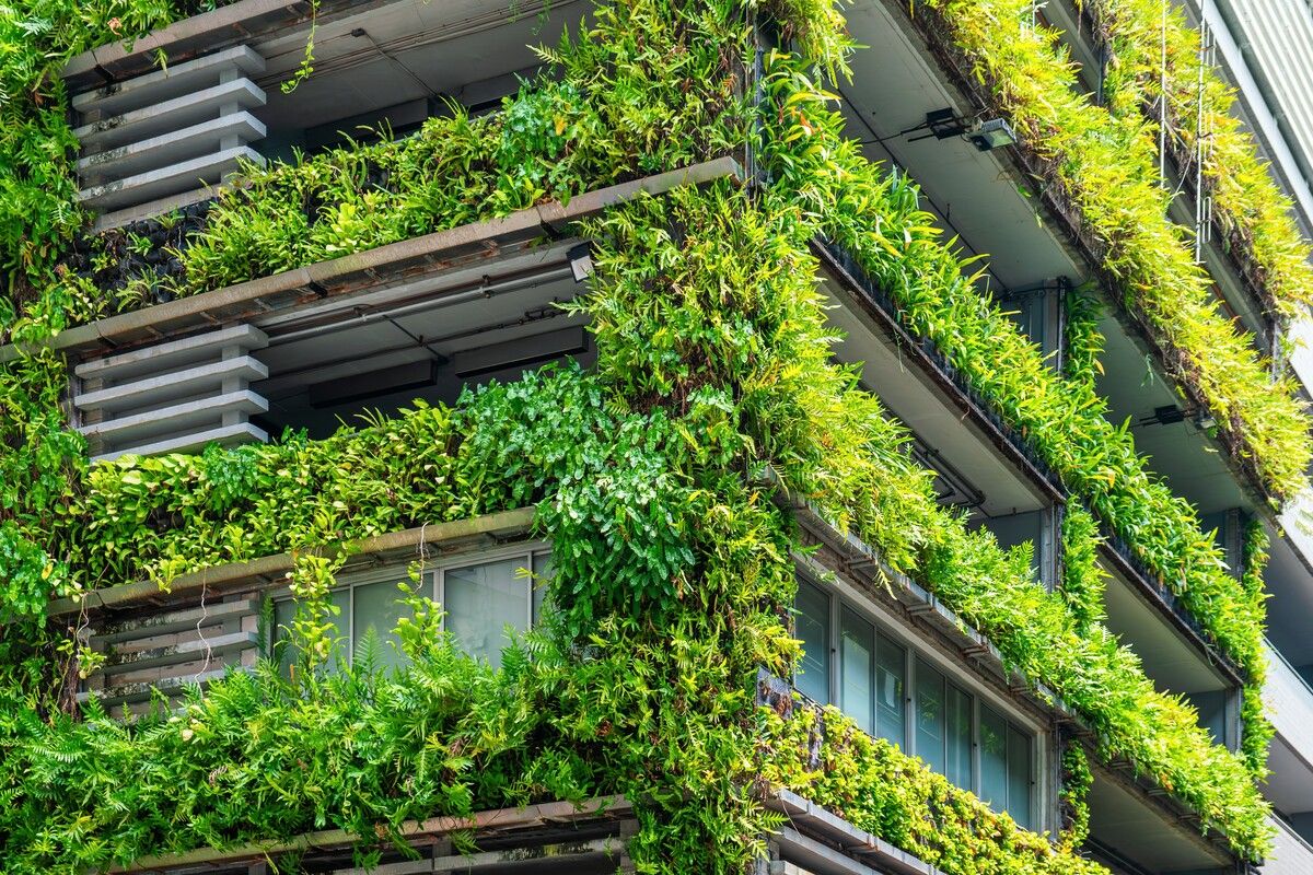 Begrünte Gebäudehüllen verbessern das Mikroklima.⇒Shutterstock