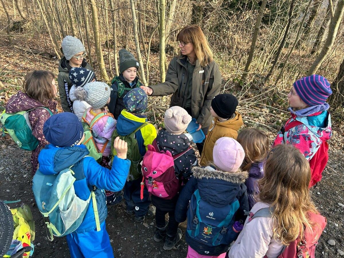Das Angebot umfasste auch Ausflüge in den Wildpark. ⇒Stadt Feldkirch