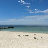 13-Jähriger rettet Mutter und Geschwister