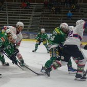 Die Wälder starten in die ­Qualifikationsrunde