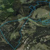 Neue Jäger bestellen Lustenaus Jagdrevier