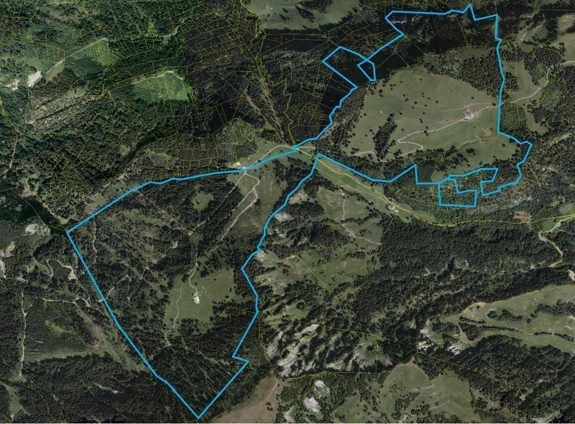 Die Eigenjagd ist ein attraktives, aber auch herausforderndes Gebiet für die Jäger. ⇒Gemeinde