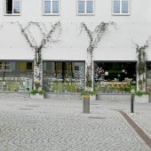 Fassaden- und Dachbegrünung wird weiter gefördert