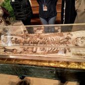 Großer Ansturm: Assisi zeigt­ ­Gebeine des Hl. Franziskus