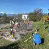 Elf Angebote zu Umweltschutz