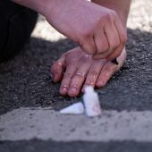 Großverfahren gegen 47 Klimaaktivisten in Wien