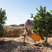 Ernährungskrise ­verschärft sich
