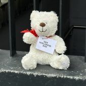 120 verlorene Stofftiere setzen ein Zeichen