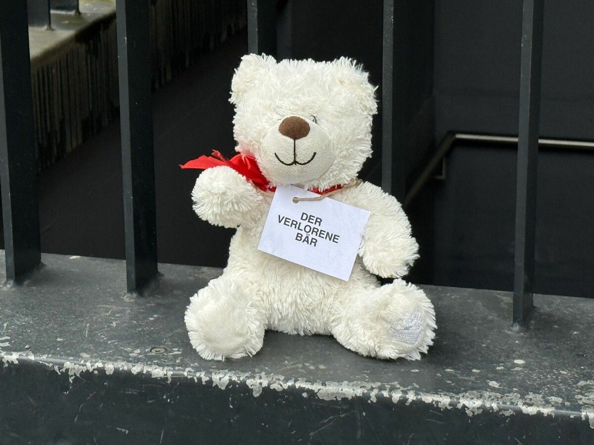 Ein starkes Zeichen setzt dieser Bär in der Nähe vom Jahnplatz Feldkirch. ⇒VN/DOS