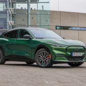 Rassiger Galopper mischt die Stromer-Szene auf