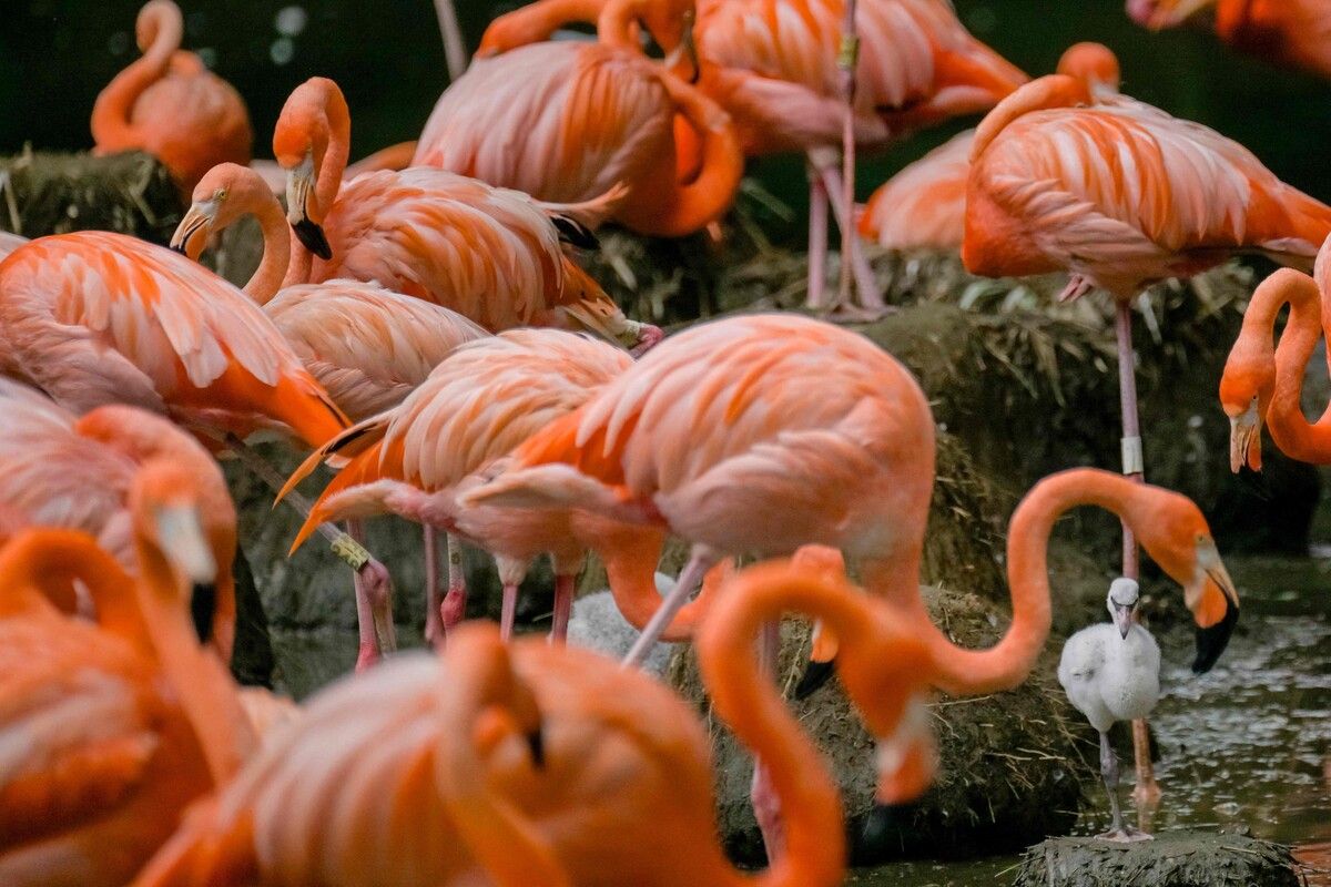 Noch etwas ­farblos