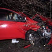 Auto gegen Baum